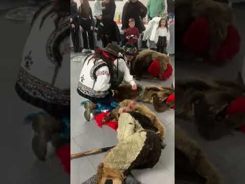 Ursul de la Tarcău, Neamț 2023-2024