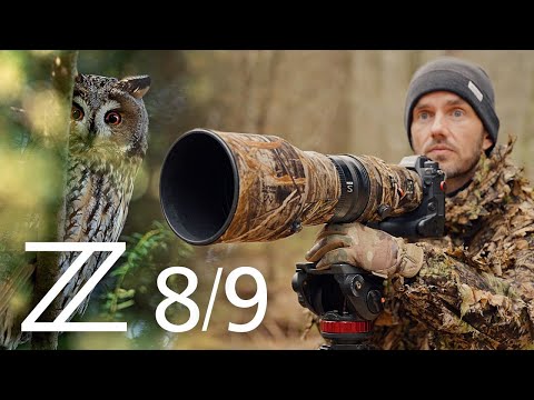 Nikon Z8/9 – Review für Wildlife-Fotografie