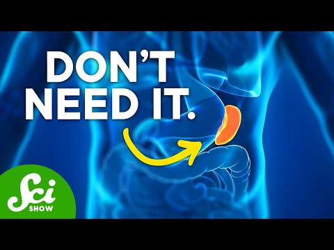 image-Where does it hurt when your kidneys hurt?