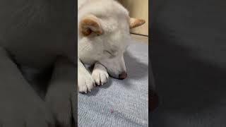 みる