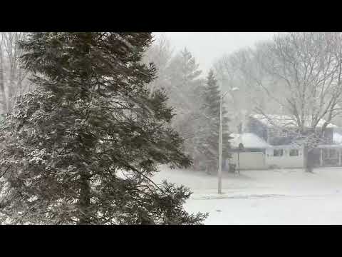 Snow in Sun Prairie, WI — 02/09/2023