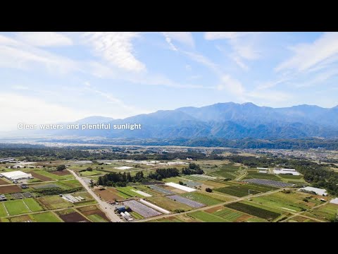 Why Hokuto’s environment is perfect for organic vegetables - Hokuto: City of Organic Farming_04