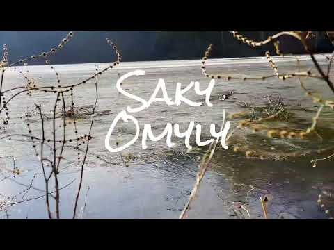 Saky - Omyly
