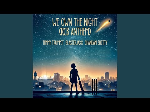 We Own The Night (feat. Chandan Shetty)