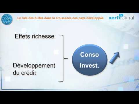 Le Schéma, Xerfi Canal Comprendre les effets des bulles financières dans les pays avancés