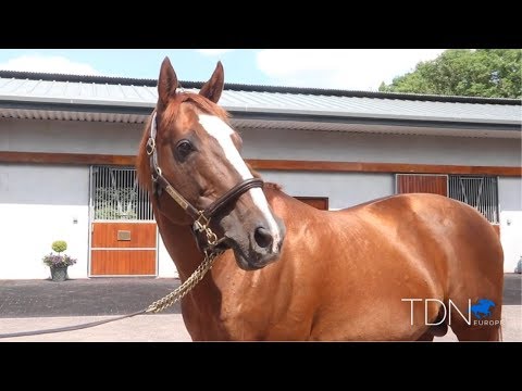 Lope De Vega, A Sire Ascending