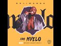 Daliwonga - Abo Mvelo (LYRICS) ft. Mellow & Sleazy, MJ