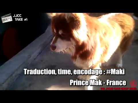 JJCC Take #1 Ep.5 Présentation des animaux des JJCC