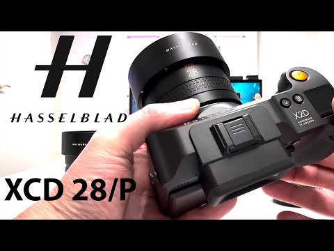 Video thumbnail for Video Review 3
