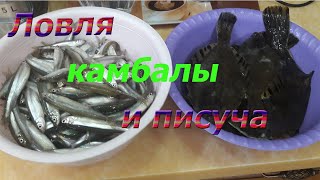 Рыбалка в приморском крае январь 2020