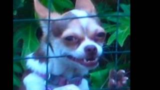 Time waits for no one....