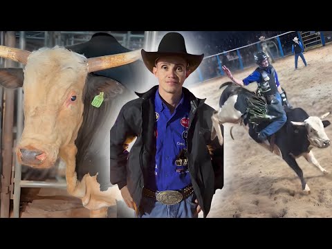 O Touro ACESSO NEGADO Perdeu a INVENCIBILIDADE ❌ Rafael Silveo  Parou no Touro Milionário