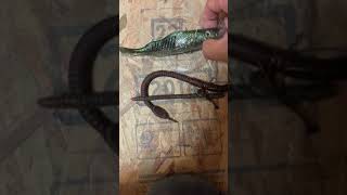 樫内利政 撮影　ラインやフックを水辺から回収