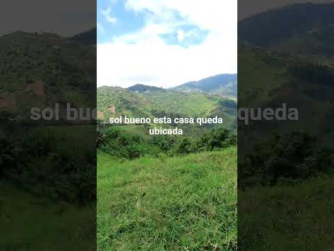 finca la laguna vereda el Cedral del municipio de Génova Quindío. #siguemeparamascontenido