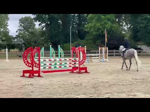show video 1