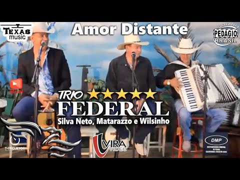 Amor Distante - TRIO FEDERAL, (Silva Neto, Matarazzo e Wilsinho - Vídeo da Live)