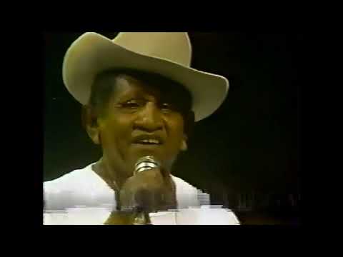 El Carrao de Palmarito- Lamentó del Canoero (Conjunto y Voz en Vivo) Arpa: Gustavo Sánchez