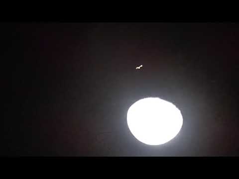 La Luna y Marte se besaron captado desde Colombia - Talaigua Nuevo Bolivar 2020