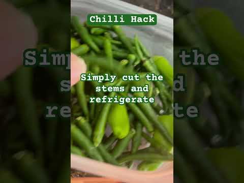 Chilli Hack #food #store #foodstorage #tips #hacks #simple #easy #easytrick #chilli  #healthy