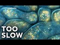 We Recorded Too Much Slow Motion Footage So Here S A Bonus Video