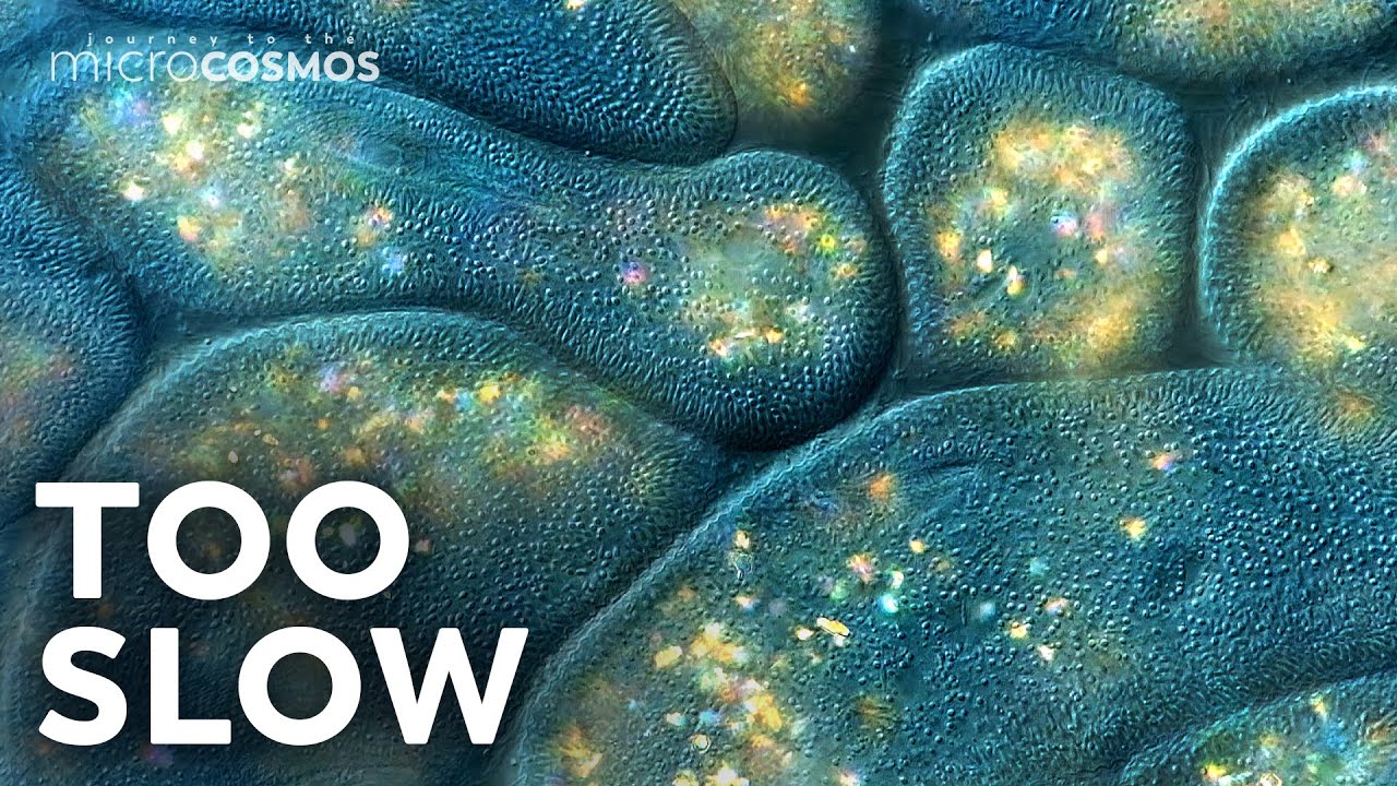 We Recorded Too Much Slow Motion Footage So Here's a Bonus Video