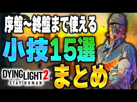 二葉蘭について詳しく解説