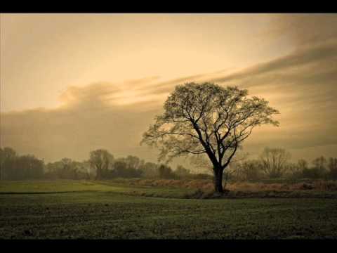 Jackson LS- Dobry Boże....