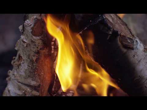 An die Freiheit - Der Liedermacher