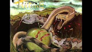 Snakes in Paradise - Seventh Wonder