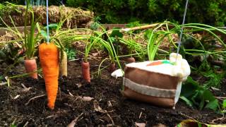 Grown This Way by Nathan Adloff