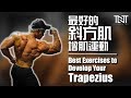最有效的斜方肌锻炼方式 | Effective Exercises to Develop Trapezius | Terrence Teo