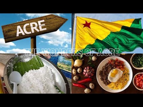 Typical foods in the state of Acre