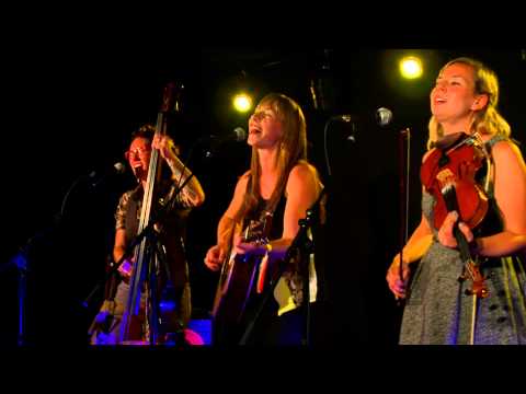 Oh My Darling - Love Me, Love Me Not