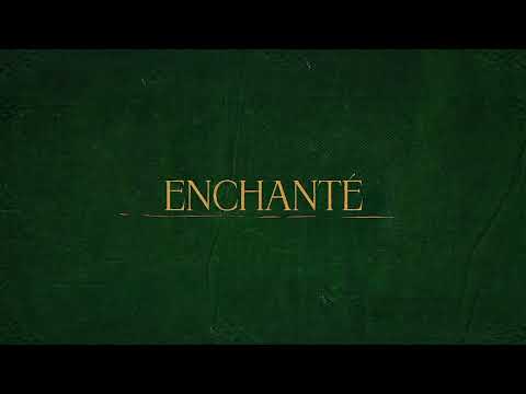 Projet CFC (rendu d'un trailer sur le thème "Antiguide")(2022).