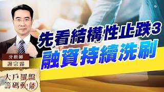 先看結構性止跌3 融資持續洗刷｜大戶羅盤籌碼動能 ｜謝宗霖 (圖)