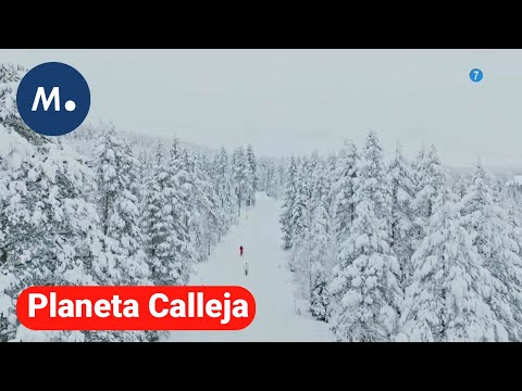 Palomo Spain viaja hasta Laponia en el próximo programa de 'Planeta Calleja' | Mediaset