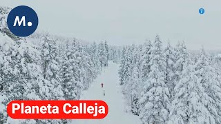 Palomo Spain viaja hasta Laponia en el próximo programa de 'Planeta Calleja' | Mediaset