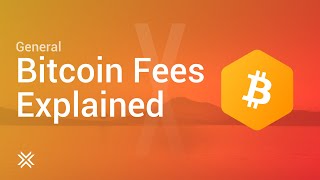 Bitcoin Fees Explained