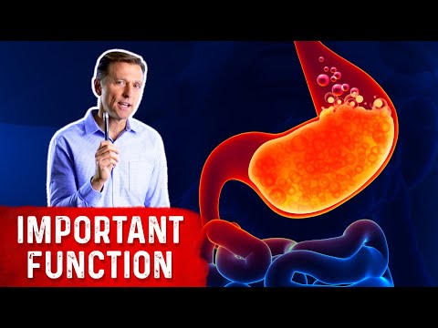 What are Enzymes and How do They Work Dr Berg
