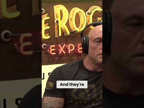 Boost Your Brainpower with Niacin, Sulcibin, and Lion's Mane  The Ultimate Performance Stack