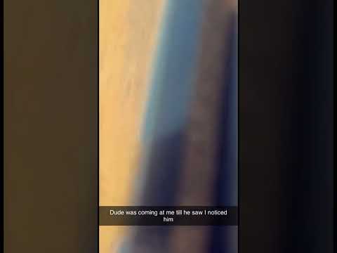 Filled him full of .17hmr holes