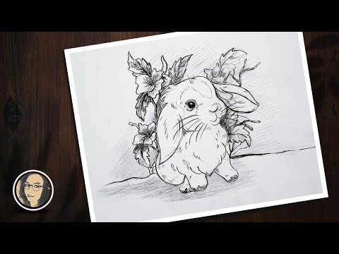 How to draw a rabbit
