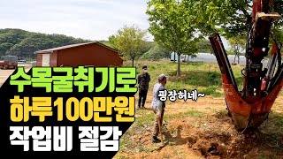 수목굴취기로 하루 100만원 작업비 절감 | 나무대장