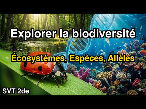 Les Trois Échelles de la Biodiversité
