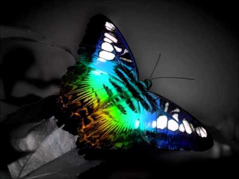 Yahel - Butterfly Liquid Love (Infernal)