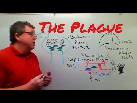 The Bubonic Plague