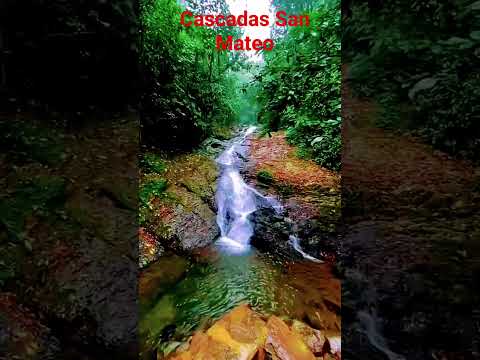 San Mateo Las Naves- Bolívar #shortvideo #cascadas #balneariosnaturales