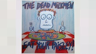 Dead Milkmen&#39;s &quot;Where the Tarantula Lives&quot; Rocksmith Bass Cover