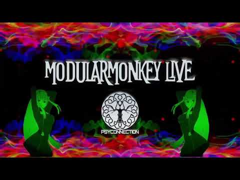 ModularMonkey live for Xibalba festival
