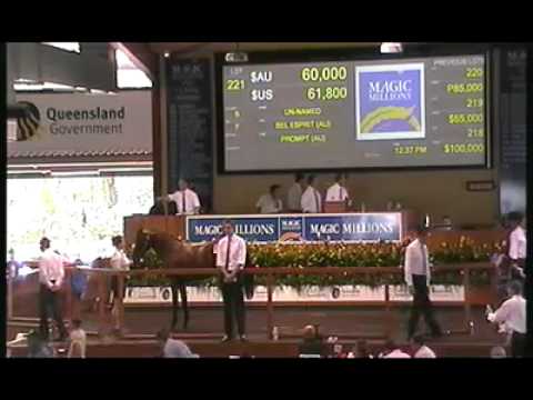 BEL ESPRIT filly bred on the same cross as BLACK CAVIAR to be trained by PETER MOODY